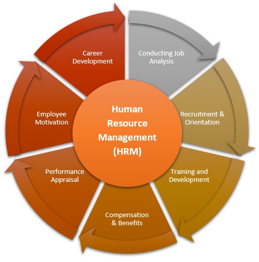 人力资源管理（HRM）
